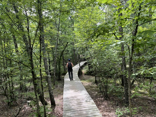 Encounter nature at Blue Mountain Natural Area