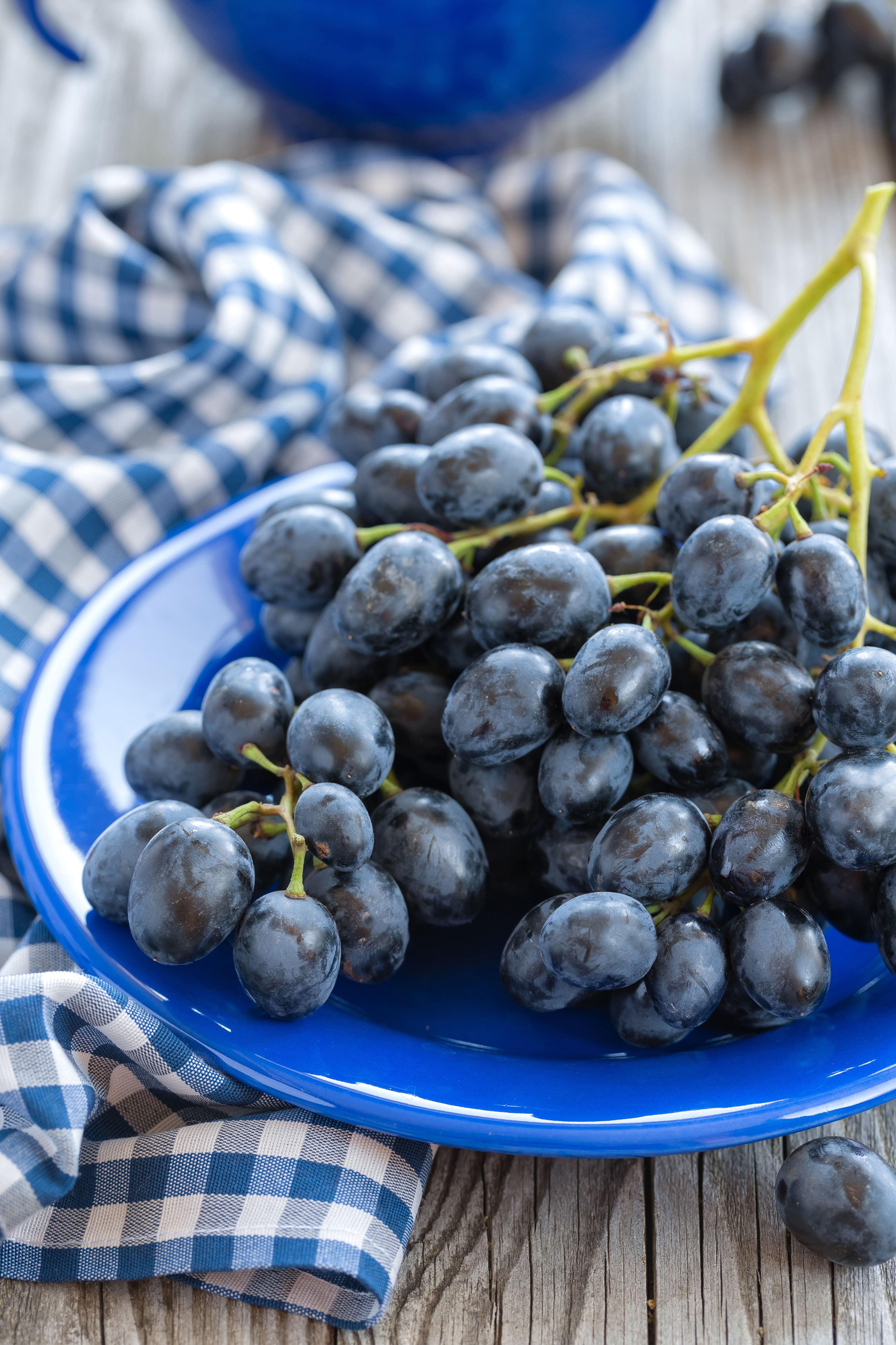 Cynthiana Grapes
