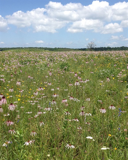 Arkansas Natural Heritage Commission