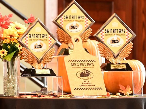 Several awards for Say it Ain't Says displayed on a table in front of a boquet of flowers and pumpkins. 
