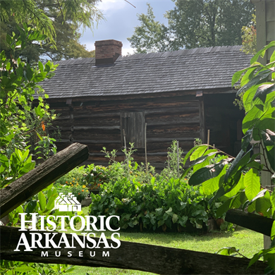 Chimney Swifts take up temporary residence at Historic Arkansas Museum